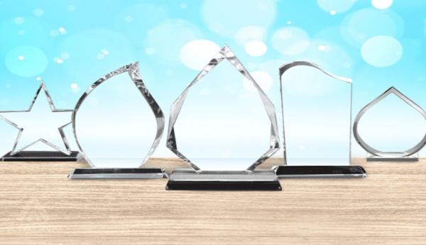 Ảnh Kỷ Niệm Chương - Bộ Sưu Tập Hình Ảnh Tôn Vinh Thành Tựu