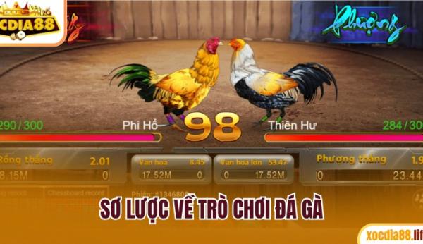 Đá gà xocdia88 – Khi đam mê và kịch tính cùng bùng nổ