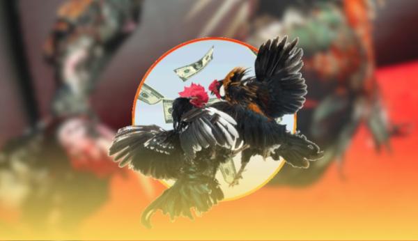 Mcw đá gà – lịch thi đấu trực tuyến cập nhật mỗi giờ