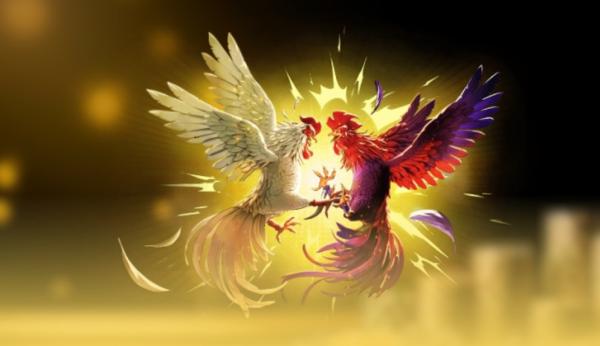 Khám phá thế giới giải trí hay với đá gà trực tiếp GA888